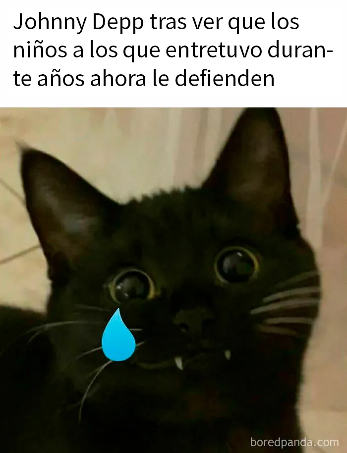 La gente apoya a Johnny Depp con estos 15 memes, pero no todo el mundo está de acuerdo