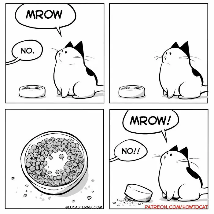 20 Divertidos cómics sobre la realidad de vivir con un gato (nuevas imágenes)