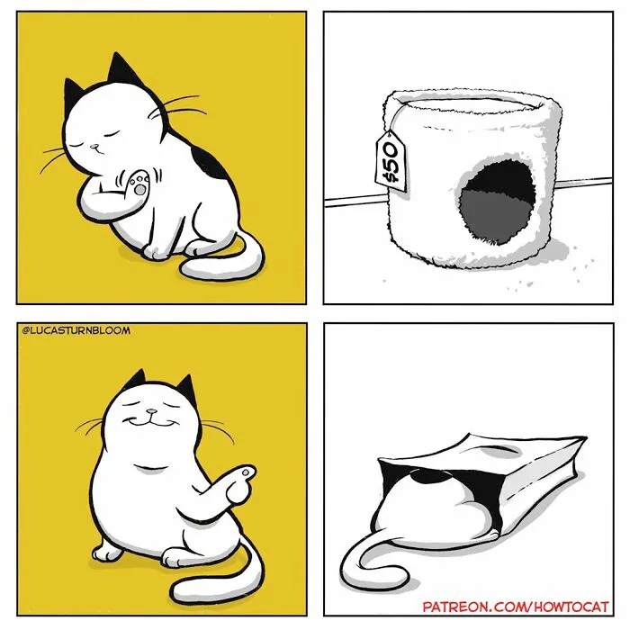 20 Divertidos cómics sobre la realidad de vivir con un gato (nuevas imágenes)