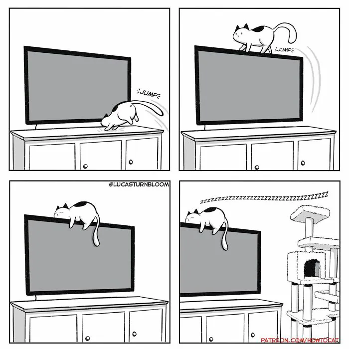 20 Divertidos cómics sobre la realidad de vivir con un gato (nuevas imágenes)