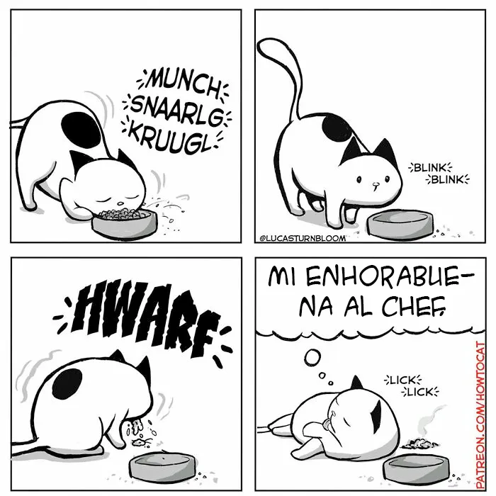 20 Divertidos cómics sobre la realidad de vivir con un gato (nuevas imágenes)