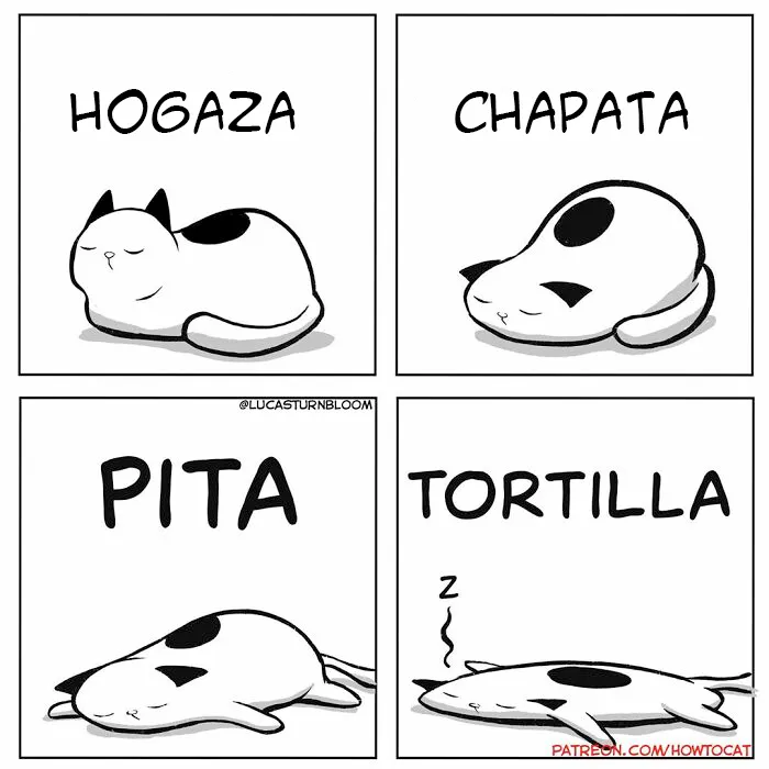 20 Divertidos cómics sobre la realidad de vivir con un gato (nuevas imágenes)
