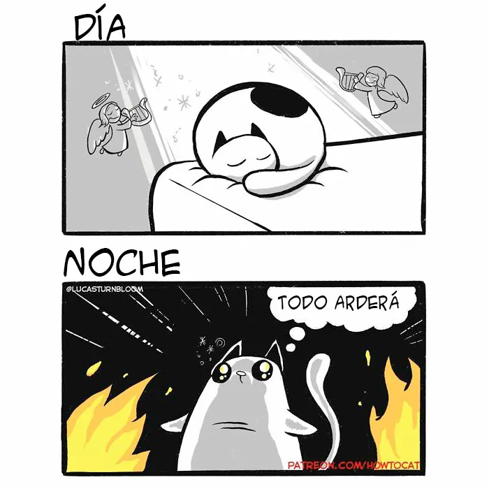 20 Divertidos cómics sobre la realidad de vivir con un gato (nuevas imágenes)