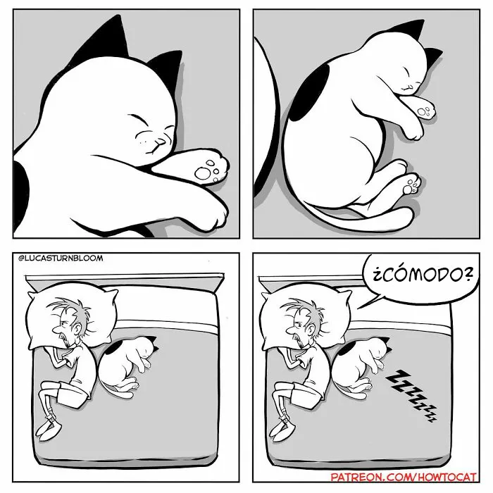 20 Divertidos cómics sobre la realidad de vivir con un gato (nuevas imágenes)