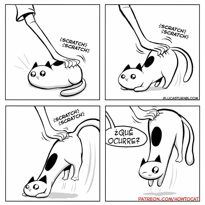 20 Divertidos cómics sobre la realidad de vivir con un gato (nuevas imágenes)