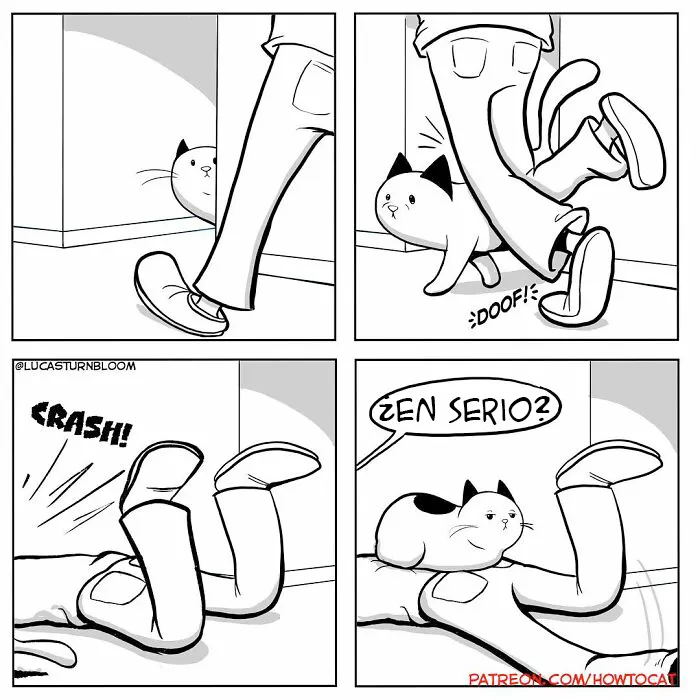 20 Divertidos cómics sobre la realidad de vivir con un gato (nuevas imágenes)
