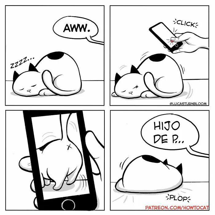 20 Divertidos cómics sobre la realidad de vivir con un gato (nuevas imágenes)