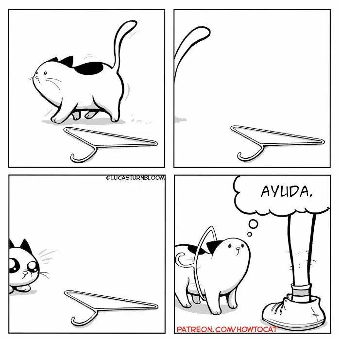 20 Divertidos cómics sobre la realidad de vivir con un gato (nuevas imágenes)