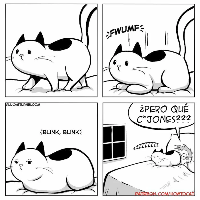 20 Divertidos cómics sobre la realidad de vivir con un gato (nuevas imágenes)