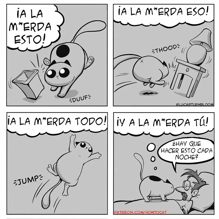 20 Divertidos cómics sobre la realidad de vivir con un gato (nuevas imágenes)