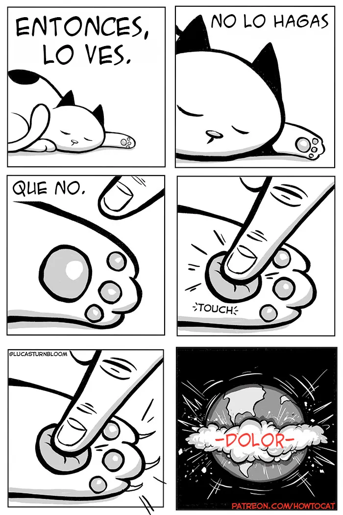20 Divertidos cómics sobre la realidad de vivir con un gato (nuevas imágenes)
