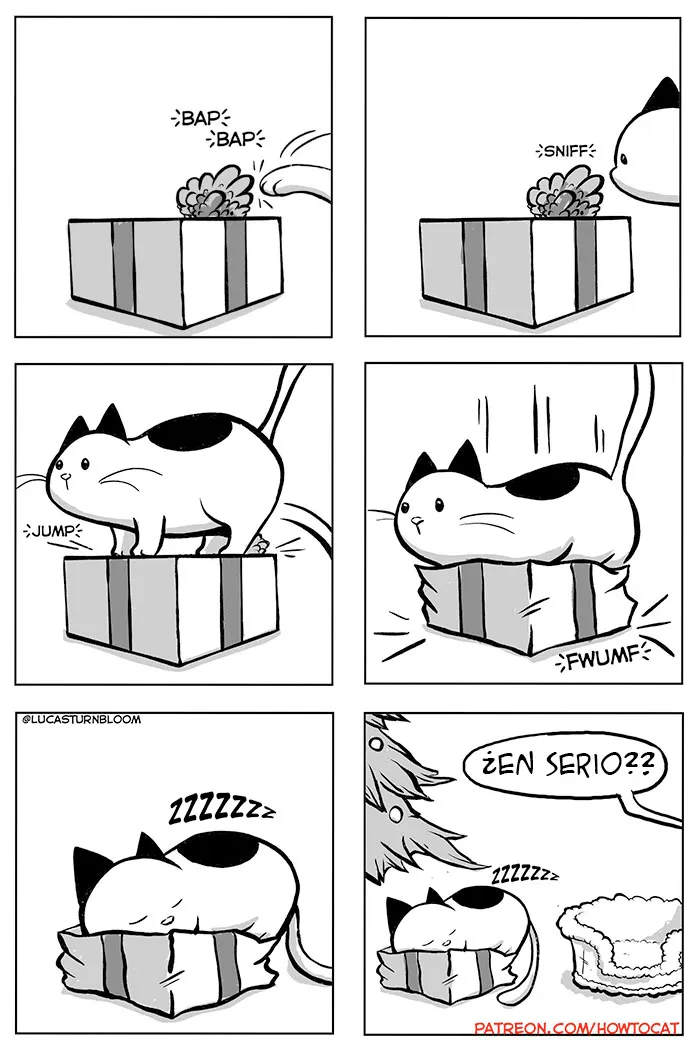 20 Divertidos cómics sobre la realidad de vivir con un gato (nuevas imágenes)