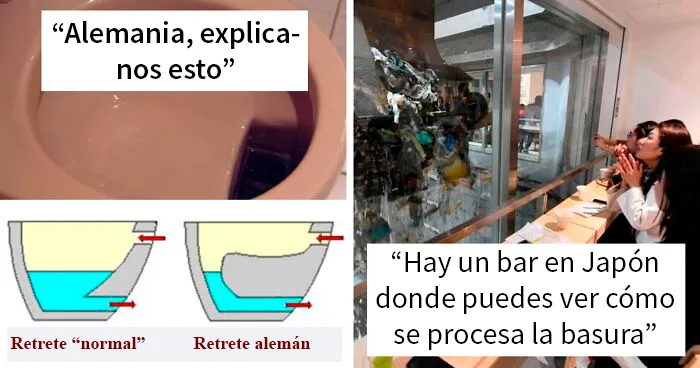 'Hoy aprendí': 30 cosas interesantes que la gente no aprendió en el colegio