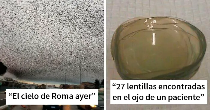 45 De las imágenes más "raras" del grupo online "WTF"