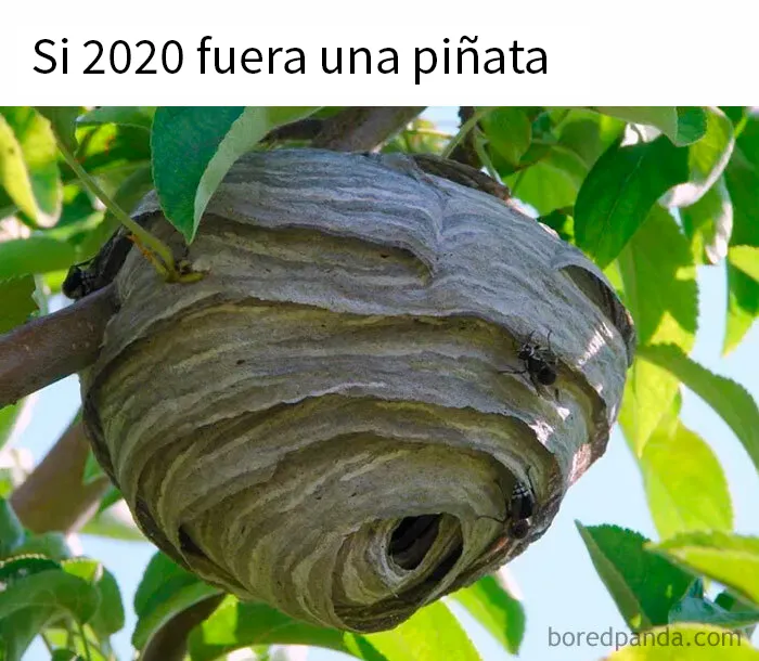La gente publica "versiones de 2020" de las cosas, y aquí tienes algunas de las mejores