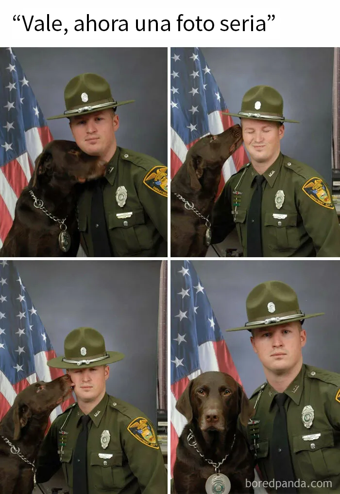 25 Divertidísimos memes de perros