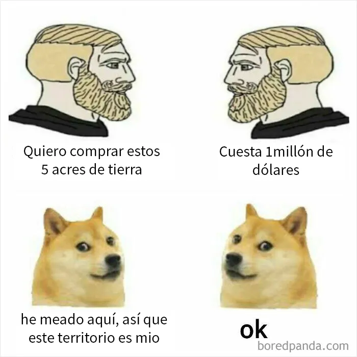 25 Divertidísimos memes de perros