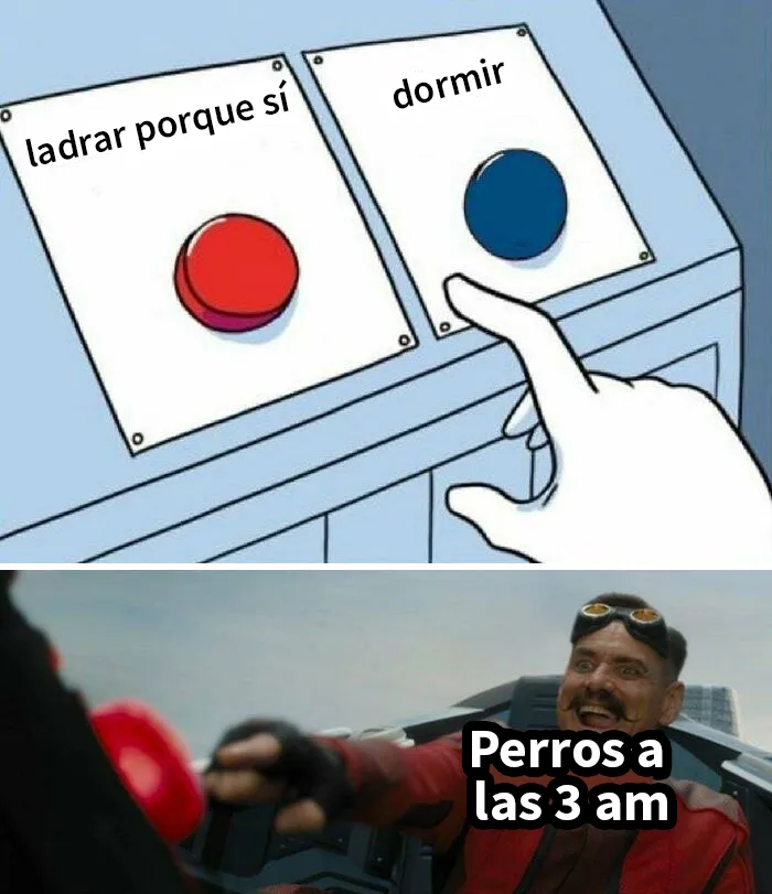 25 Divertidísimos memes de perros