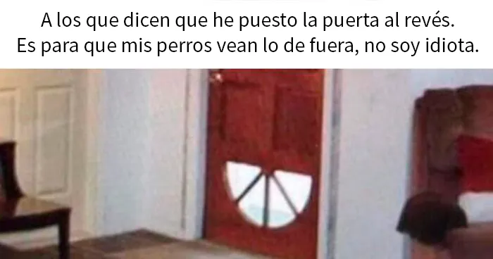 25 Divertidísimos memes de perros