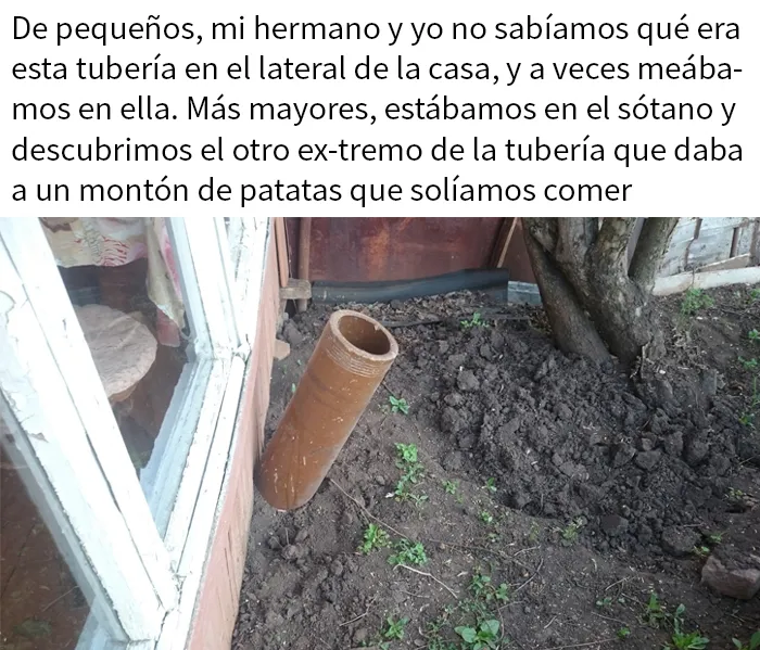 Patatas Con Extra