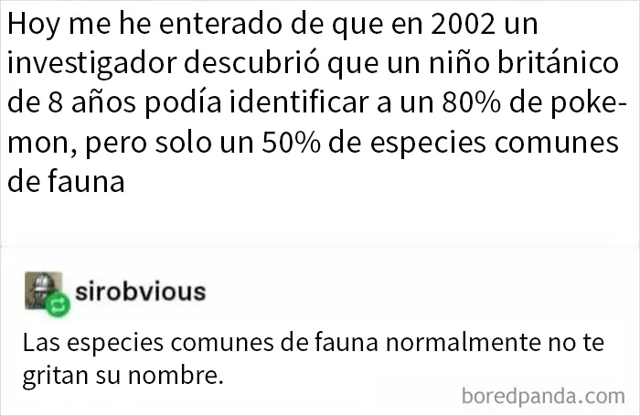 Y No Salen En Un Emocionante Anime