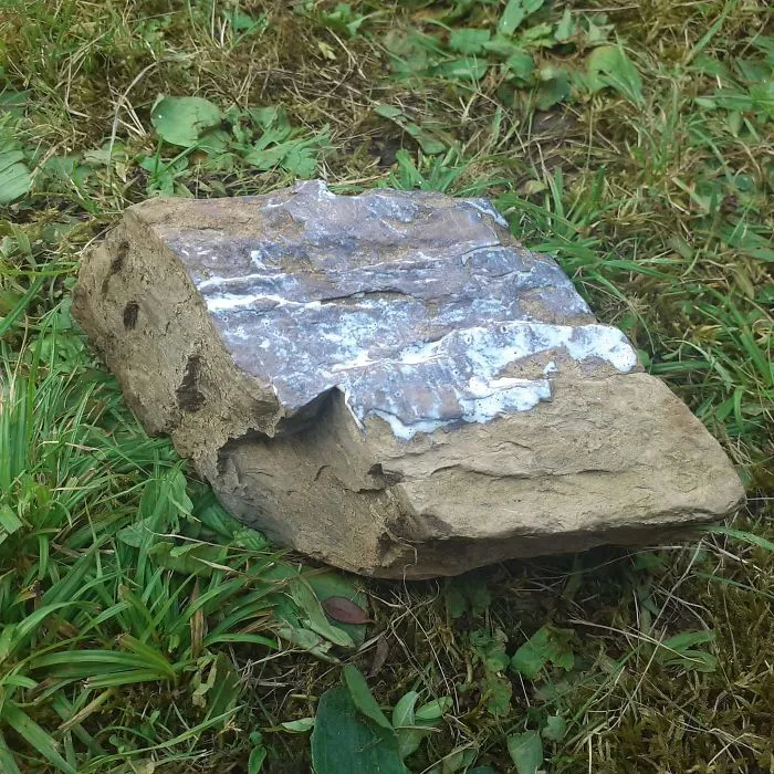 Le Ha Puesto Protector Solar A La Piedra Para Que "No Se Queme"