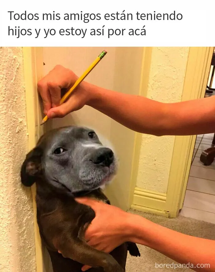 20 Memes muy acertados que resumen lo que es estar soltero