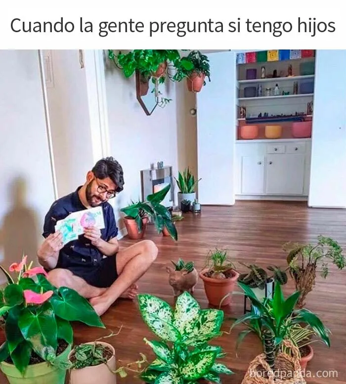 20 Memes muy acertados que resumen lo que es estar soltero
