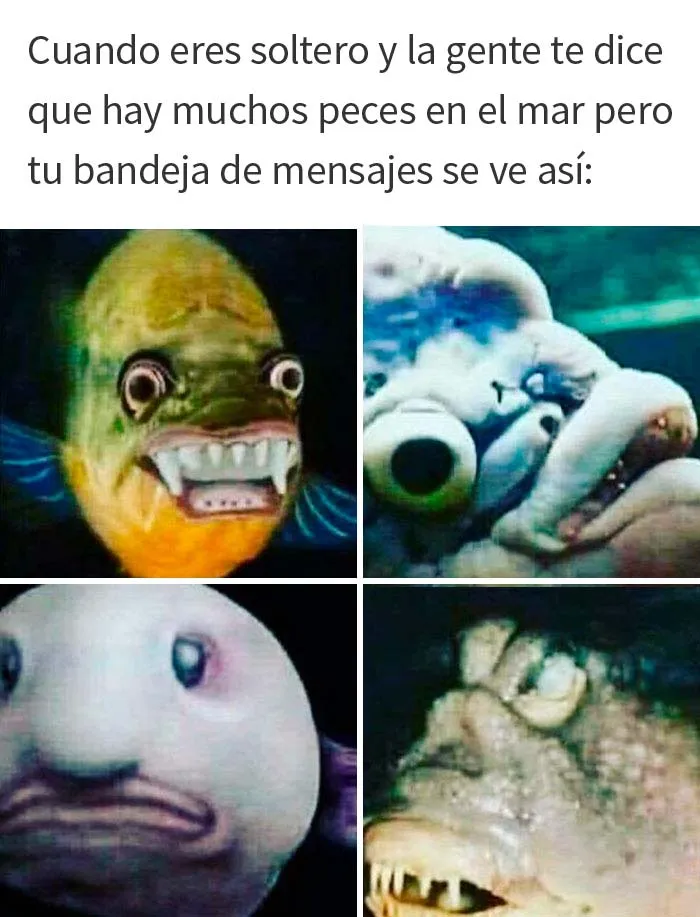 20 Memes muy acertados que resumen lo que es estar soltero