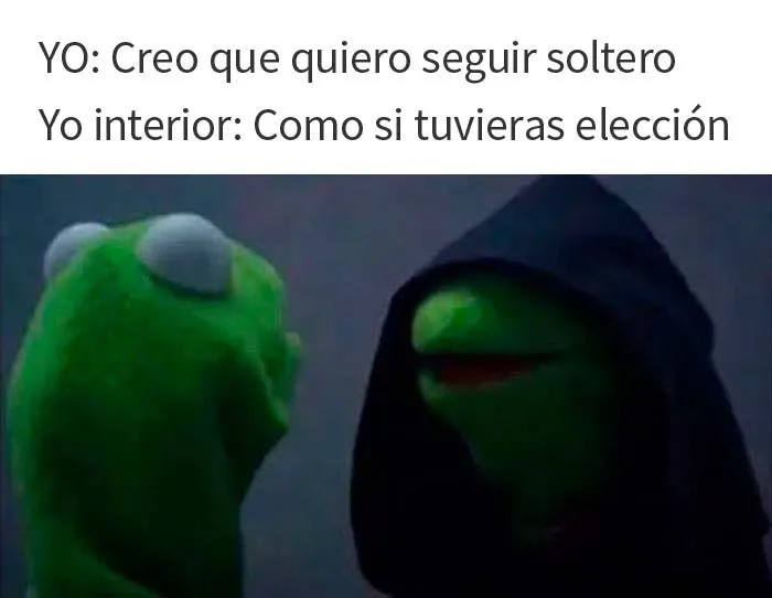 20 Memes muy acertados que resumen lo que es estar soltero