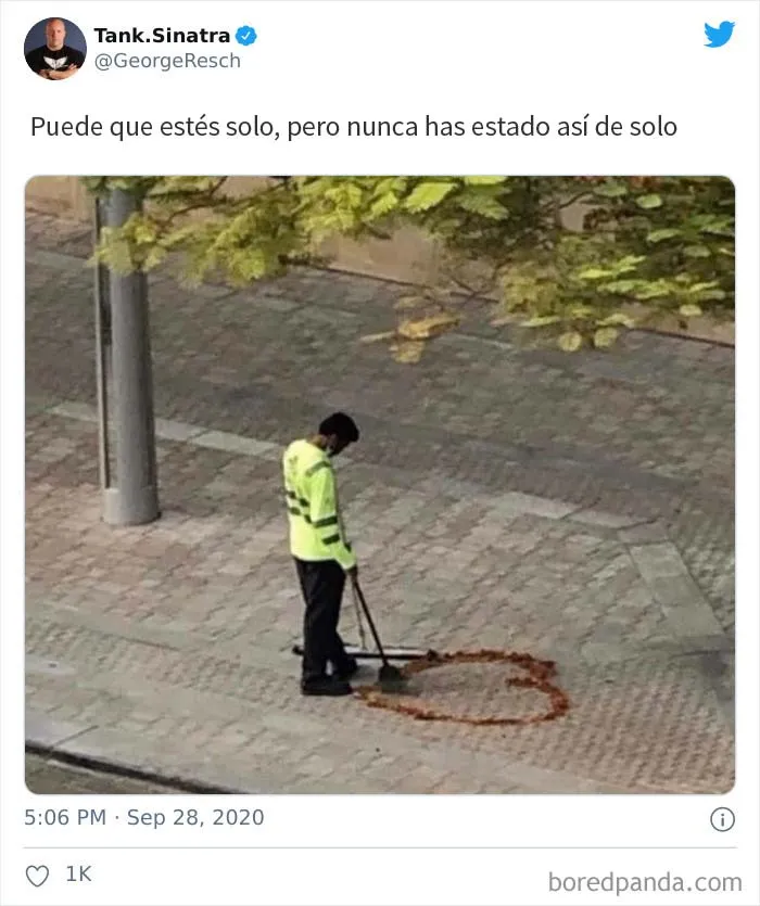 20 Memes muy acertados que resumen lo que es estar soltero