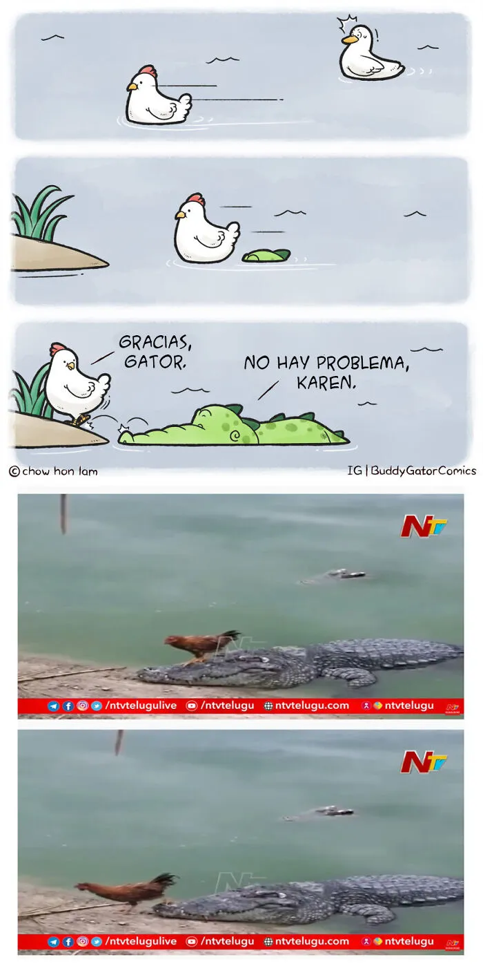 Yo Te Llevo