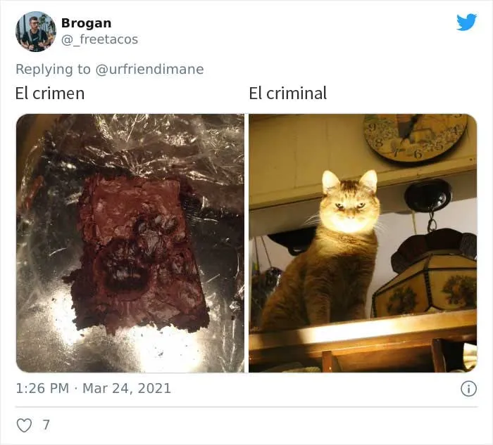 19 Crímenes y criminales pillados por sus dueños, compartidos en este hilo de Twitter