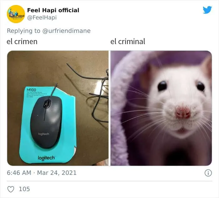 19 Crímenes y criminales pillados por sus dueños, compartidos en este hilo de Twitter