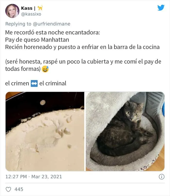 19 Crímenes y criminales pillados por sus dueños, compartidos en este hilo de Twitter