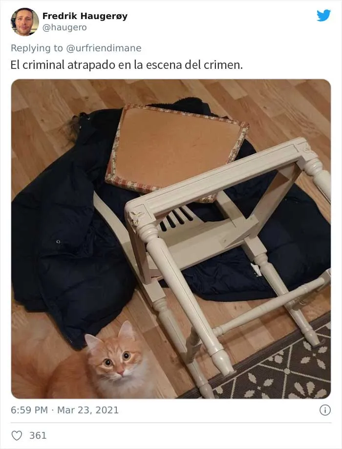 19 Crímenes y criminales pillados por sus dueños, compartidos en este hilo de Twitter