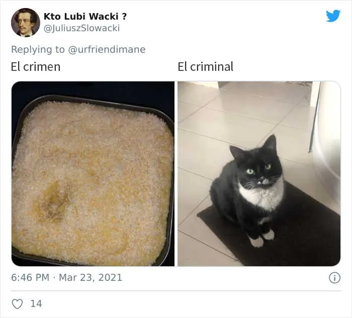 19 Crímenes y criminales pillados por sus dueños, compartidos en este hilo de Twitter