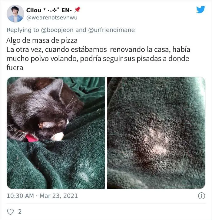 19 Crímenes y criminales pillados por sus dueños, compartidos en este hilo de Twitter