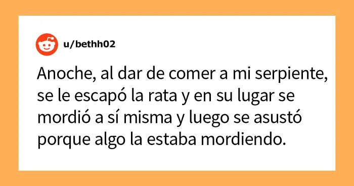 "¿Cuál es la cosa más estúpida que has visto hacer a tu mascota?" (30 respuestas)