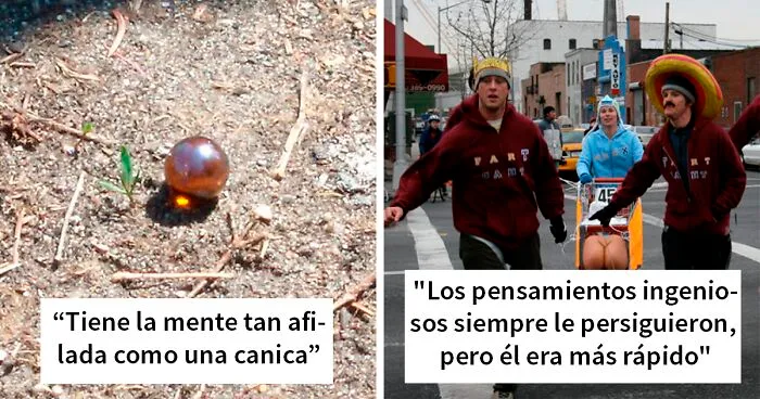 30 Formas muy sutiles y educadas de describir la falta de inteligencia, compartidas en este grupo online
