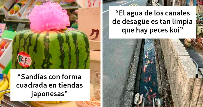33 Datos que demuestran lo distinto que es Japón al resto de países