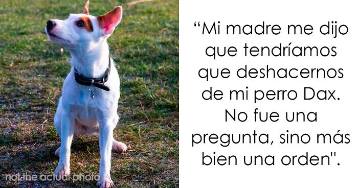 Este adolescente fue obligado a elegir entre su querido perro Dax y su familia, y eligió al perro