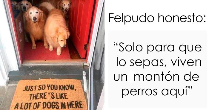 40 Felpudos muy entretenidos vistos por los invitados y compartidos en este grupo online