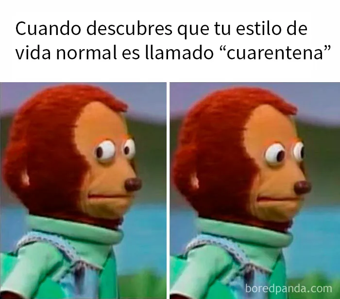 25 Divertidos memes que harán reír a todos los introvertidos (nuevas imágenes)