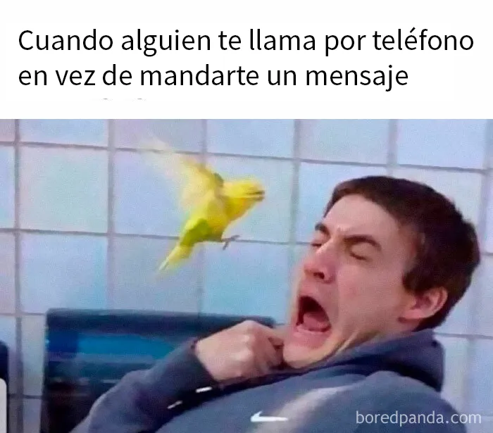 25 Divertidos memes que harán reír a todos los introvertidos (nuevas imágenes)