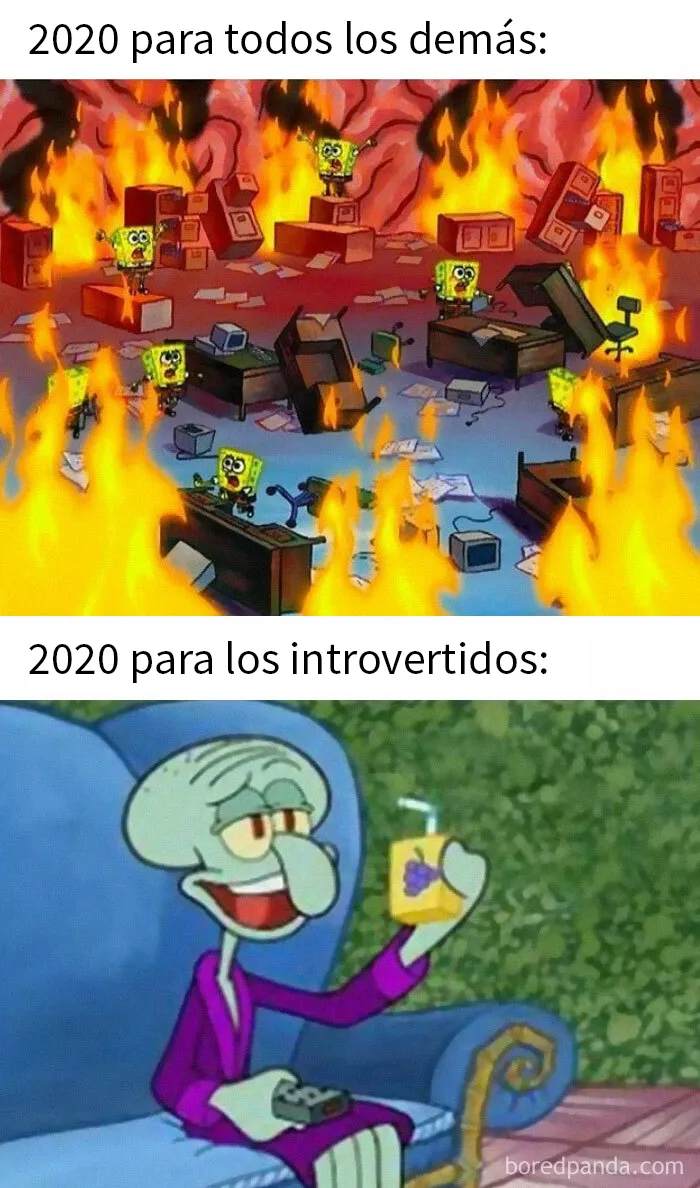 25 Divertidos memes que harán reír a todos los introvertidos (nuevas imágenes)
