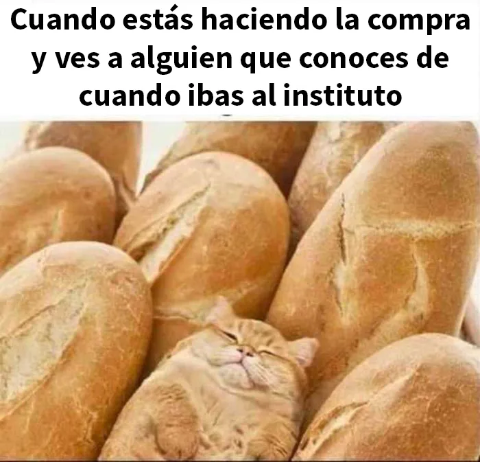 25 Divertidos memes que harán reír a todos los introvertidos (nuevas imágenes)