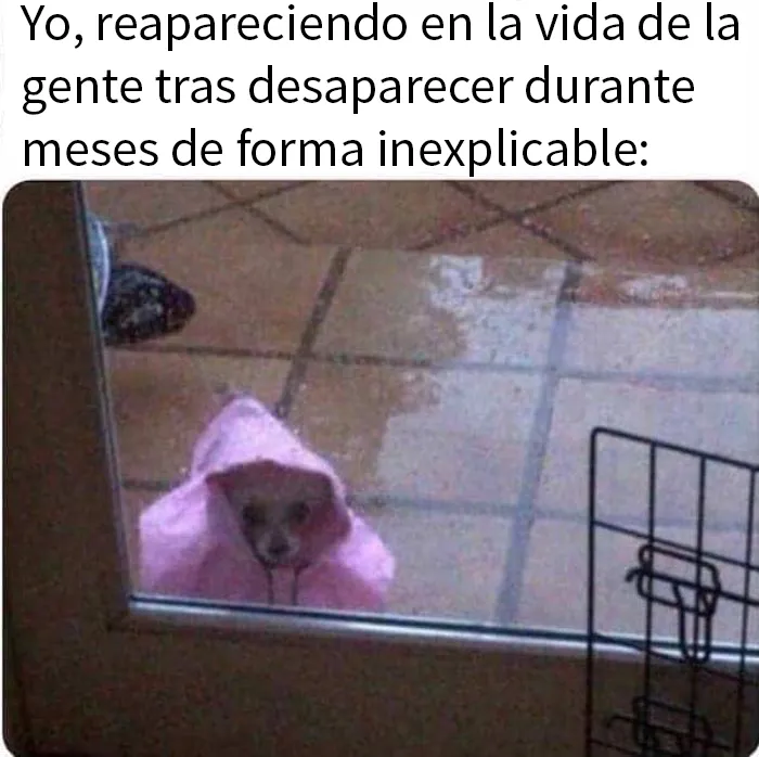 25 Divertidos memes que harán reír a todos los introvertidos (nuevas imágenes)