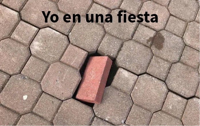 25 Divertidos memes que harán reír a todos los introvertidos (nuevas imágenes)