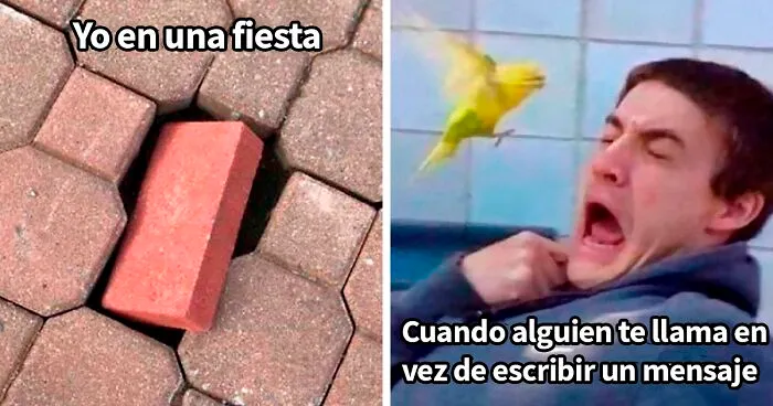 25 Divertidos memes que harán reír a todos los introvertidos (nuevas imágenes)